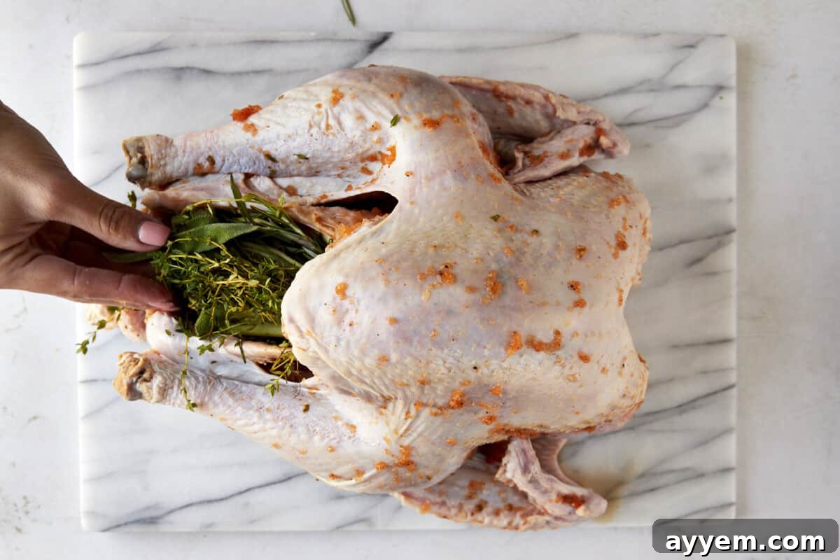 Fresh herbs like thyme, rosemary, and sage being placed inside a raw turkey for fragrant infusion.