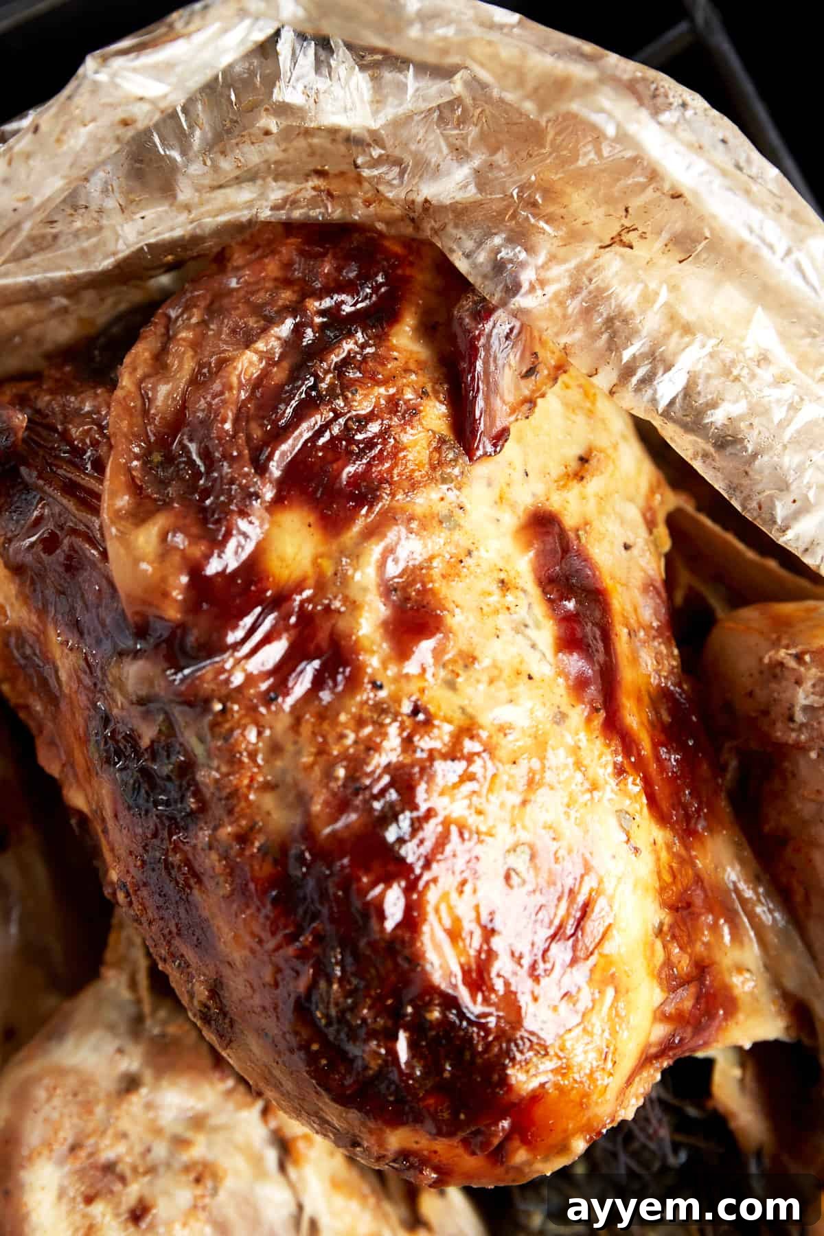 A perfectly oven-baked turkey still in its roasting bag, showcasing the golden-brown skin achieved.