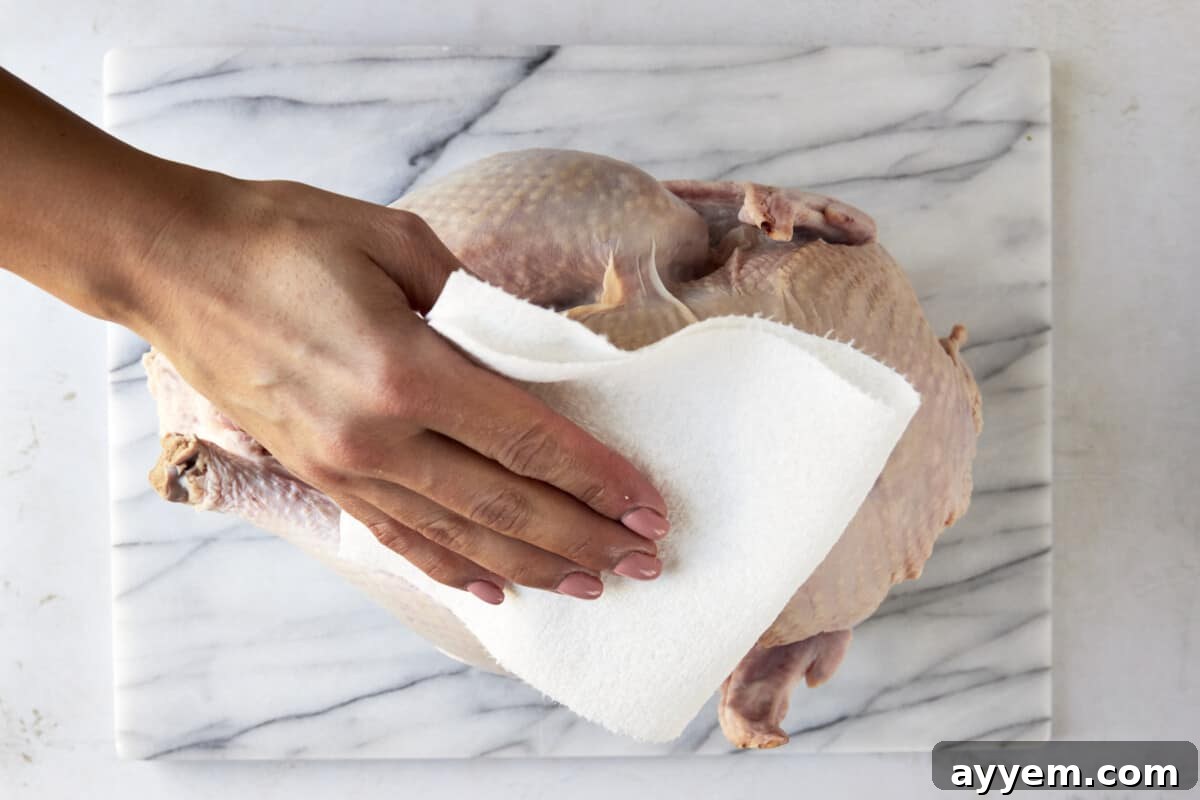 A raw turkey being patted dry with clean paper towels.
