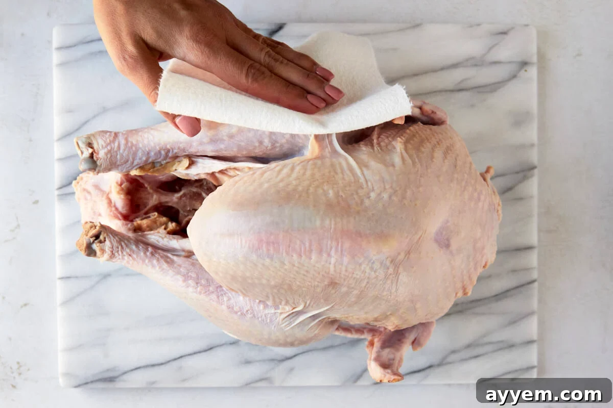 A raw turkey being meticulously patted dry, preparing its skin for seasoning and crisping.