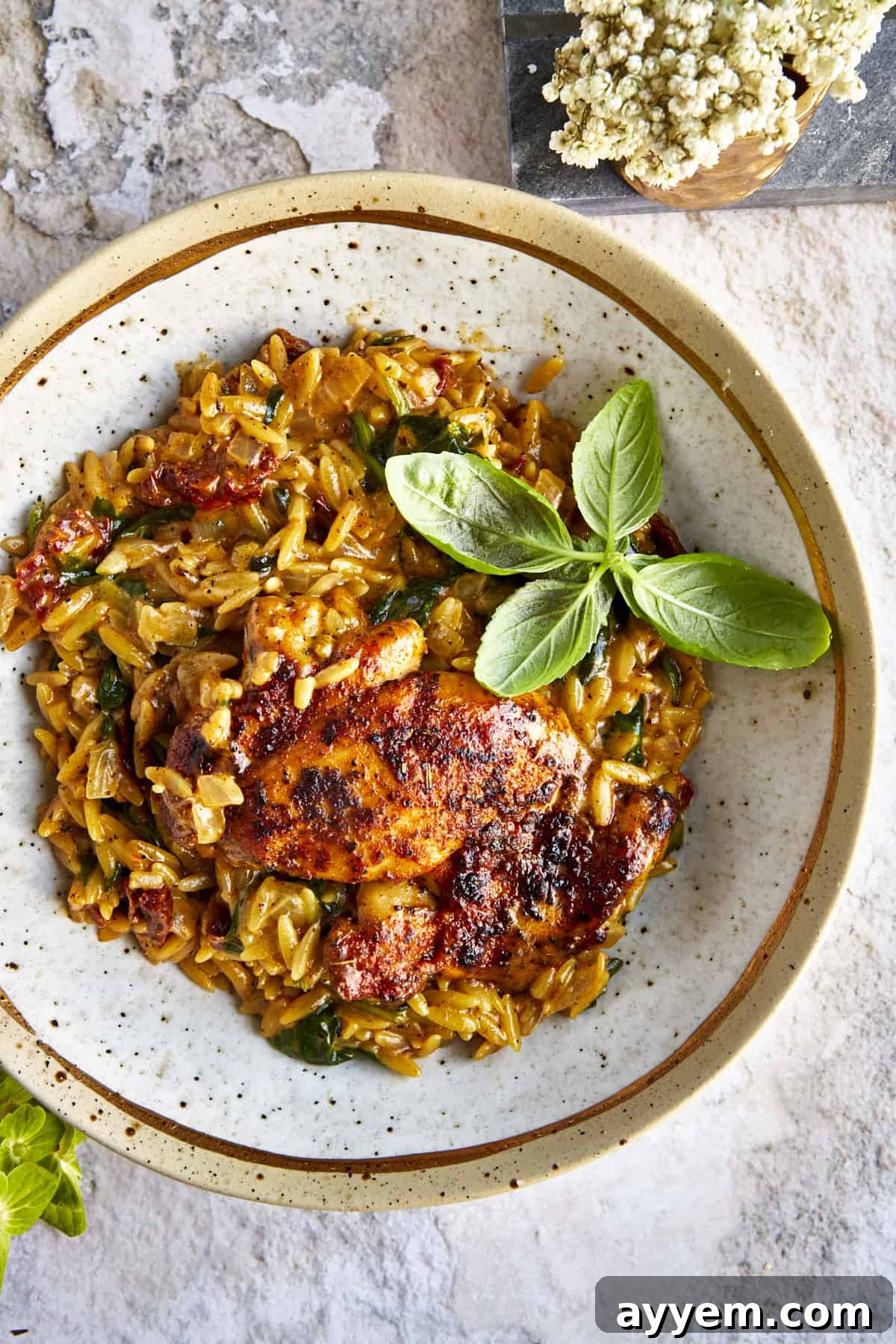 A bowl of creamy One Pot Chicken and Orzo pasta topped with fresh parsley, ready to be served.