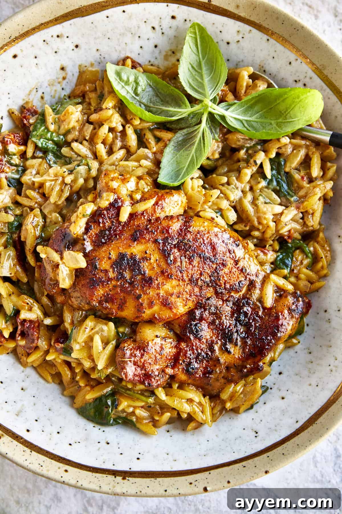 A vibrant bowl of chicken and orzo pasta, richly garnished with sun-dried tomatoes and fresh spinach, ready to be enjoyed.