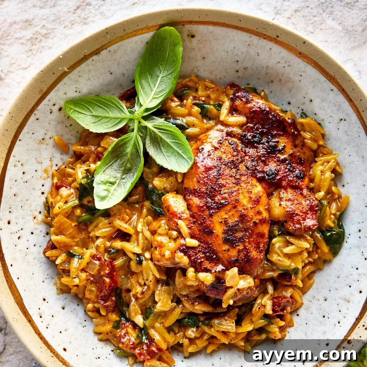 A bowl of chicken and orzo topped with parsley.