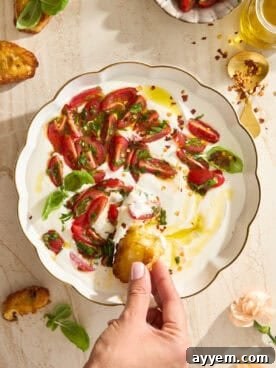 A hand dipping toasted bread into a bowl of savory whipped cottage cheese topped with marinated tomatoes and fresh basil.
