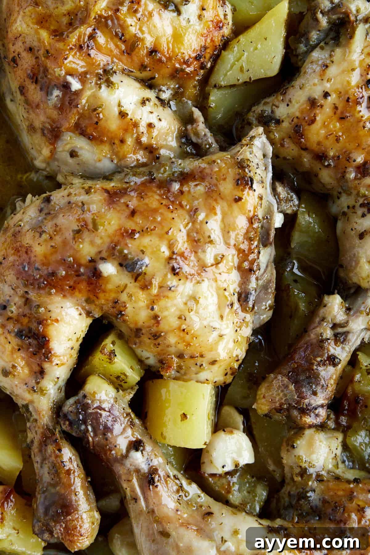 Zesty Greek Roasted Chicken and Potatoes 3 Close up view of baked lemon Greek chicken and potatoes, showing the herbs and lemon slices.