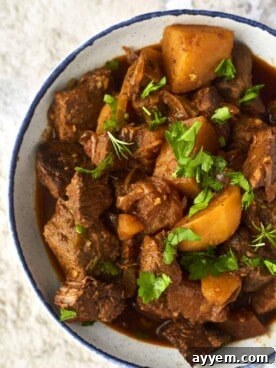 A hearty bowl of Middle Eastern Beef Stew, garnished with fresh herbs, featuring tender beef and rich, aromatic spices.