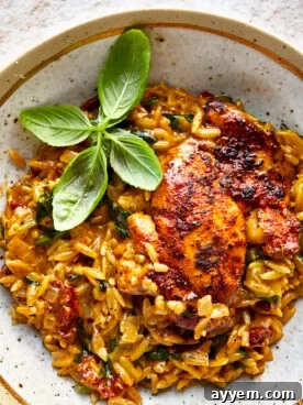 A warm bowl of One Pot Chicken and Orzo Pasta, garnished with fresh parsley, highlighting a quick and complete meal solution.