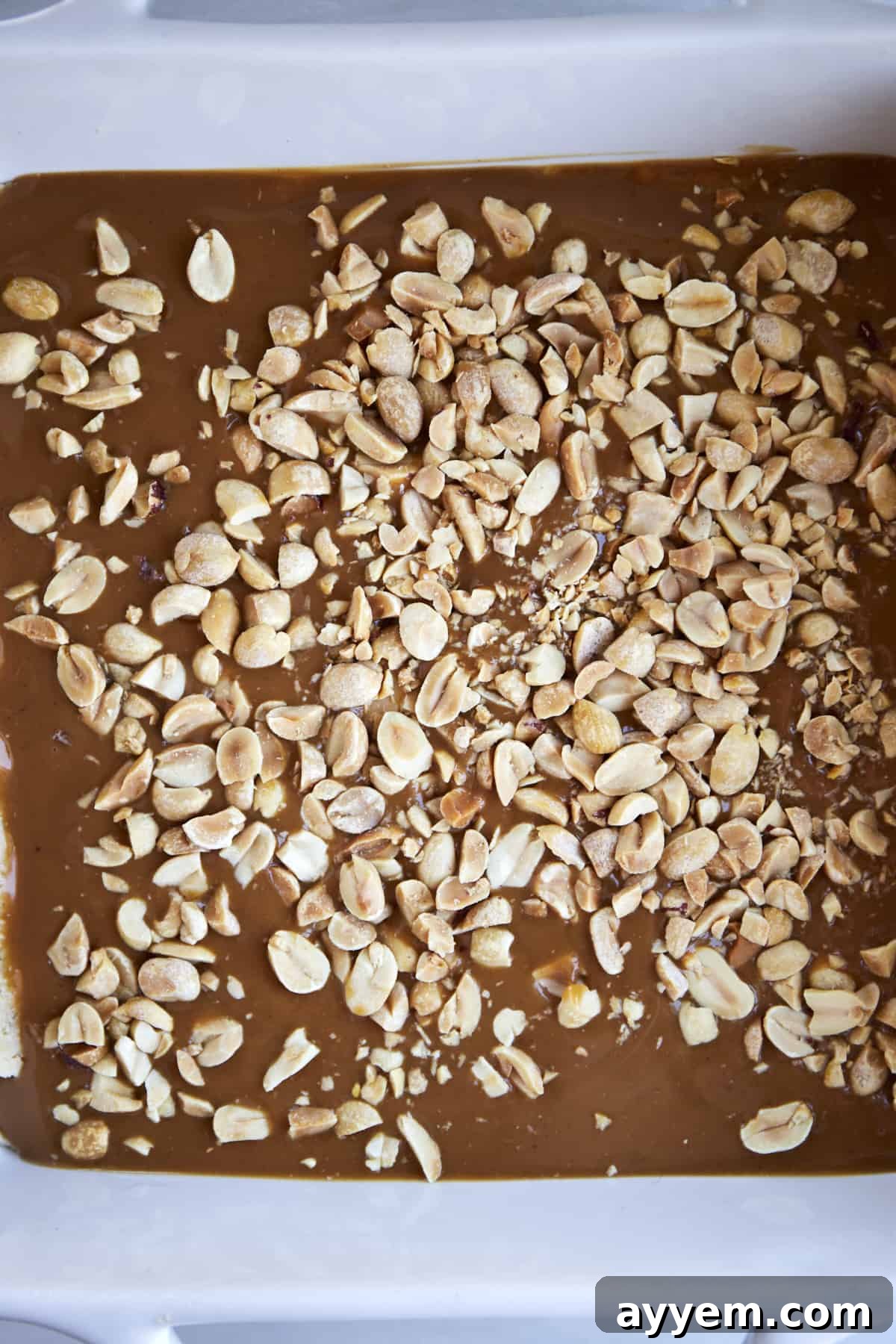Unset chocolate peanut butter bars. 