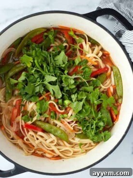Overhead image of a vibrant bowl of vegetarian ramen topped with fresh cilantro, a soft-boiled egg, and green onions.