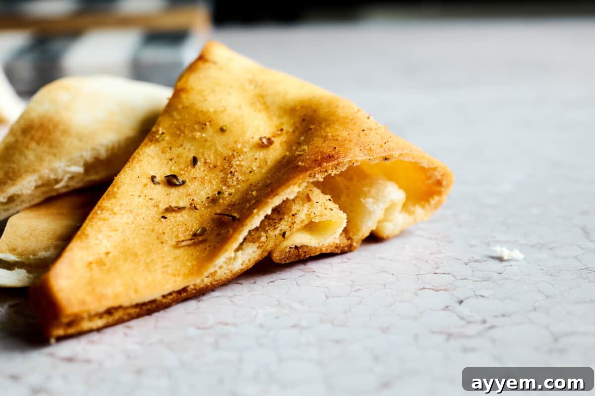 A side profile view of several perfectly golden and crispy homemade pita chips, showcasing their inviting texture and delicious appearance.