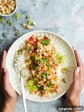 Two hands holding a vibrant, generously portioned plate of Asian chicken with fluffy white rice, adorned with fresh herbs, ready to be enjoyed as a wholesome and flavorful meal.