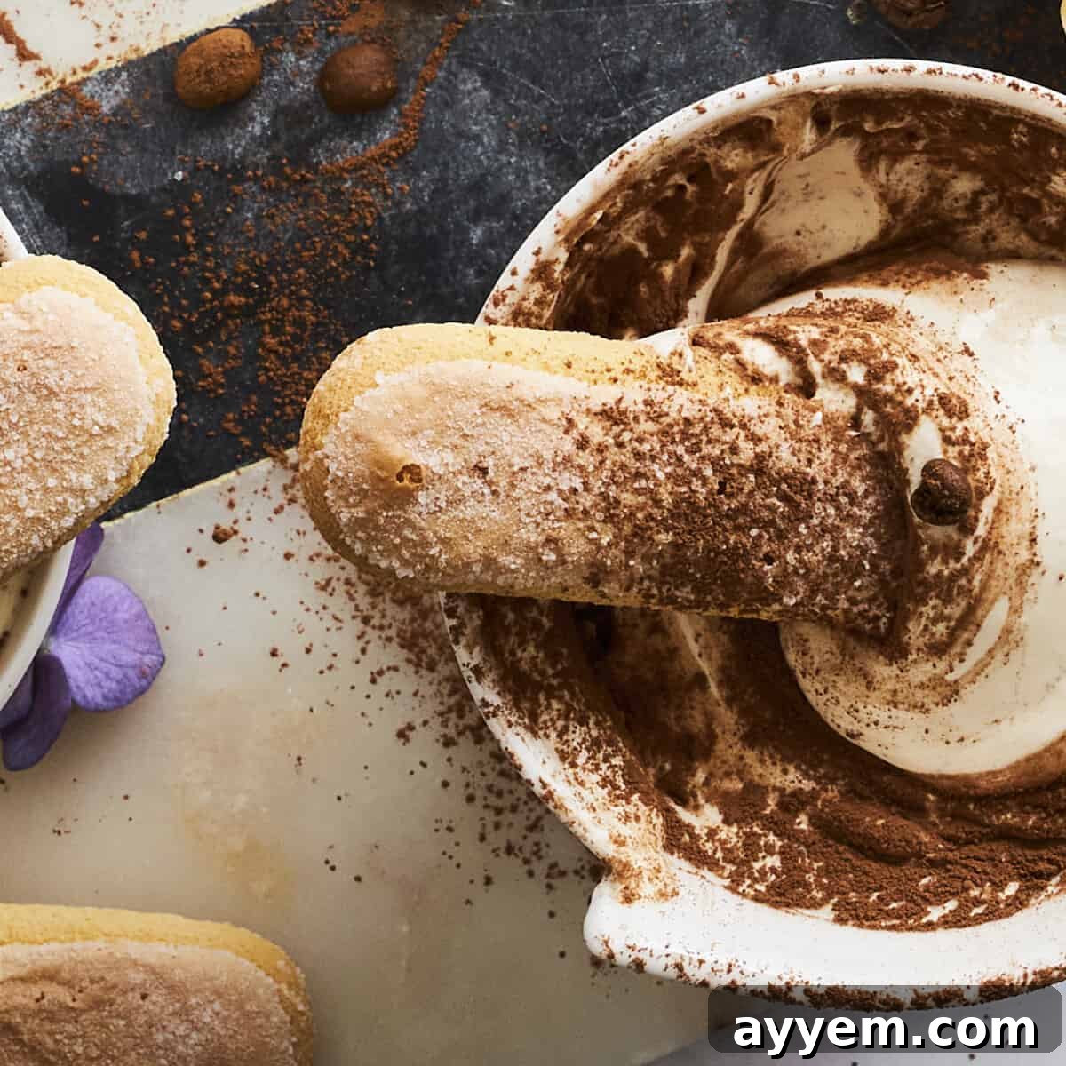 Creamy Tiramisu Dip with cocoa dusting, ready to be served with dippers.