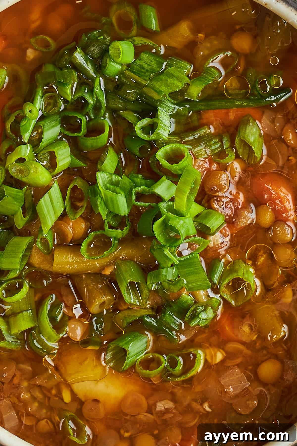 A comforting bowl of slow cooker lentil soup, ready to be served.