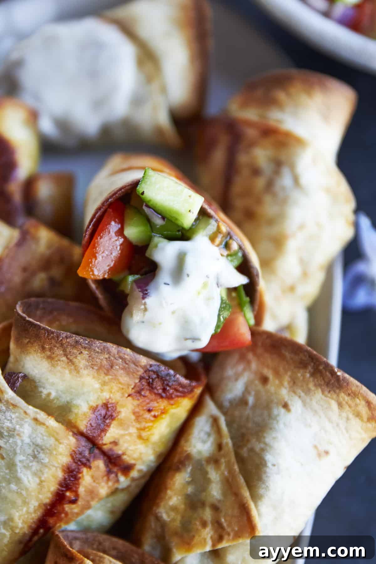 A beef roll with cucumber and tomato salad and tzatziki.