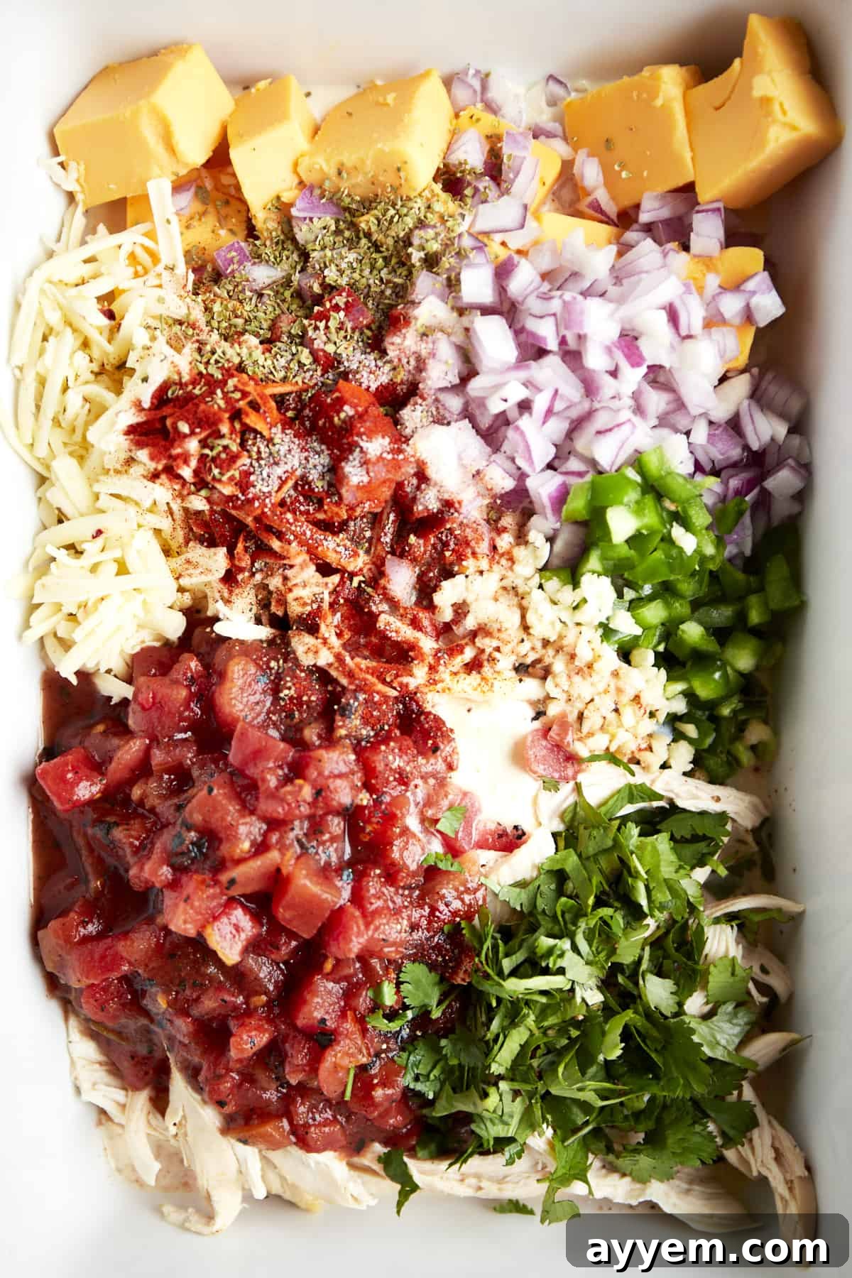Various chicken queso dip ingredients, including cubed cheeses, seasoned chicken, and fresh vegetables, artfully arranged in a baking dish before cooking.