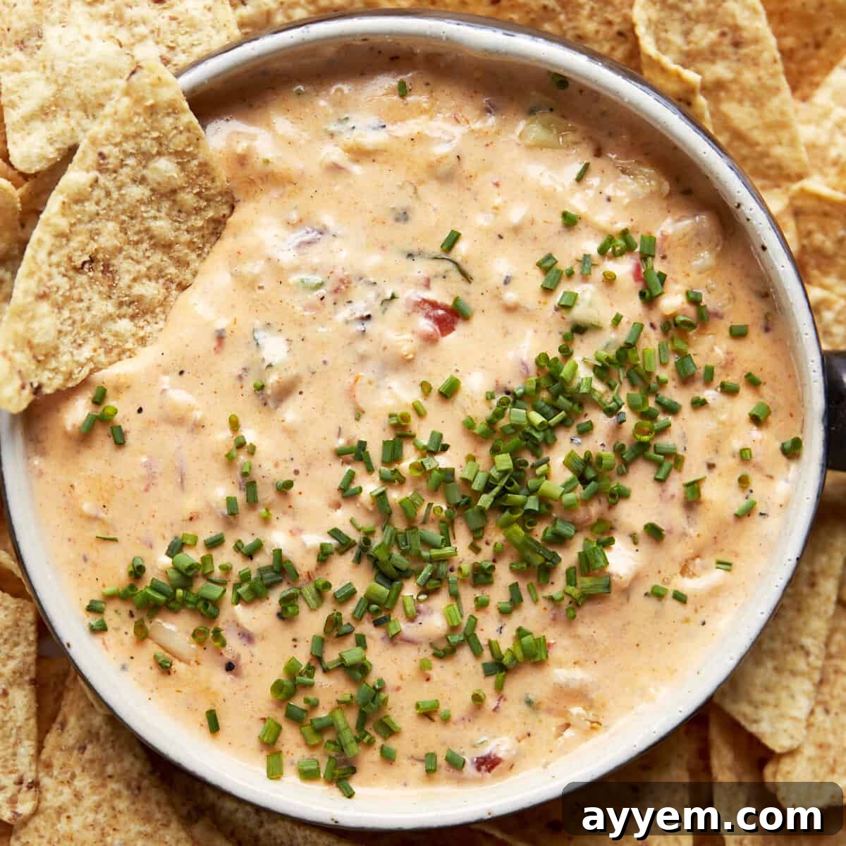 A beautifully presented bowl of creamy Chicken Queso Dip, garnished with fresh cilantro, ready to be served with tortilla chips.