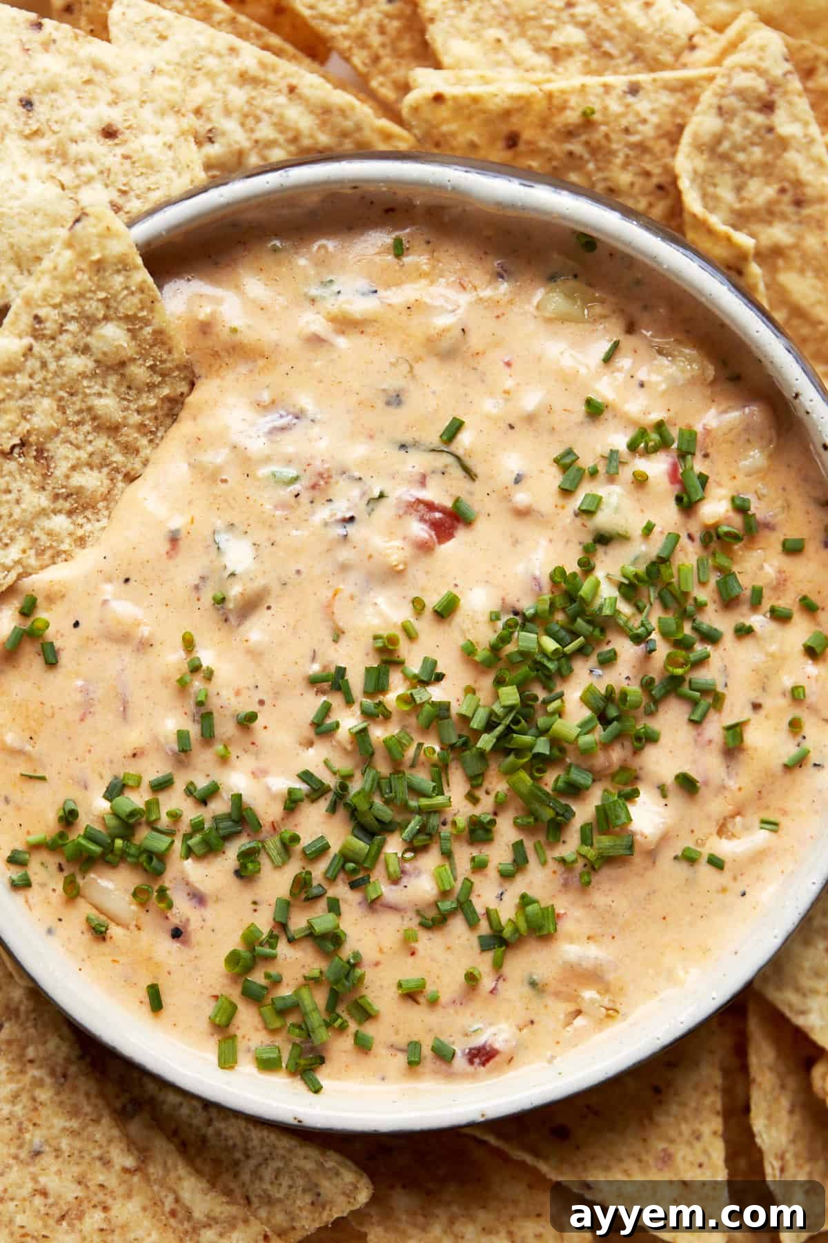 A finished bowl of baked chicken queso dip, steaming hot and ready to serve, garnished beautifully and surrounded by crisp tortilla chips.