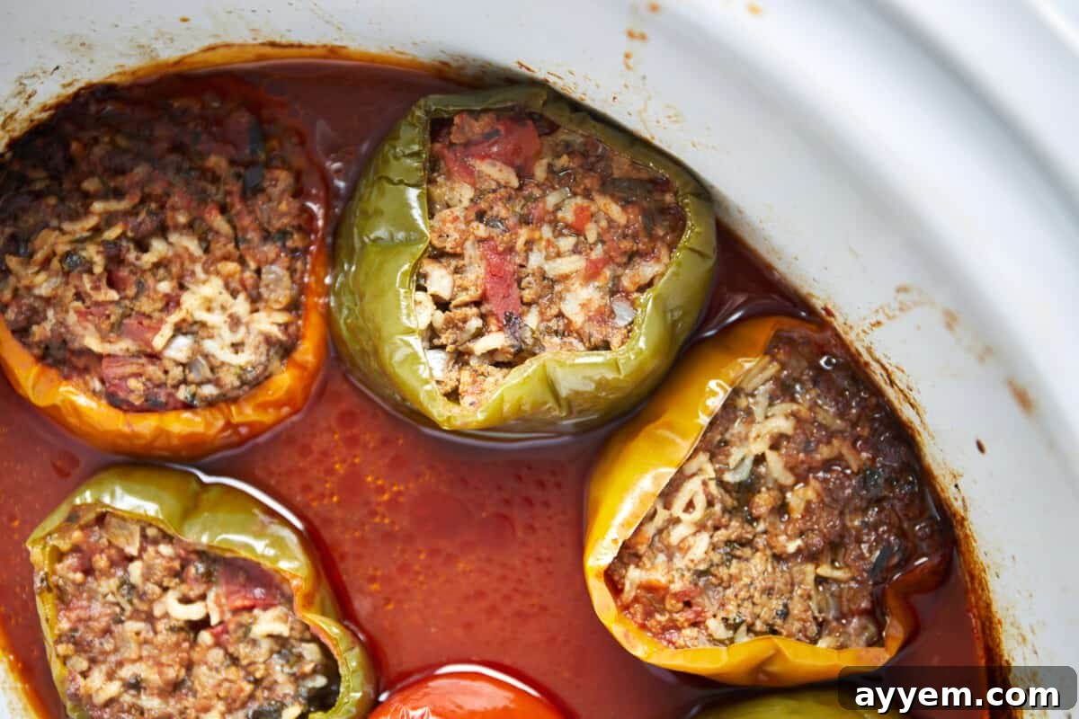 Cooked Mediterranean stuffed peppers in a slow cooker.