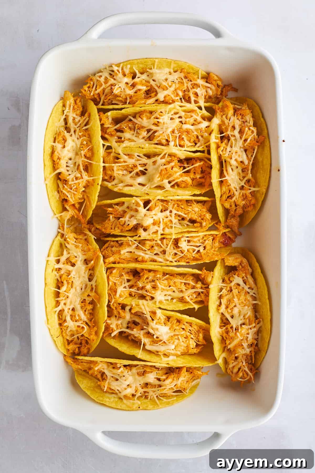 Baked hard shell chicken shawarma tacos with cheese in a baking dish.