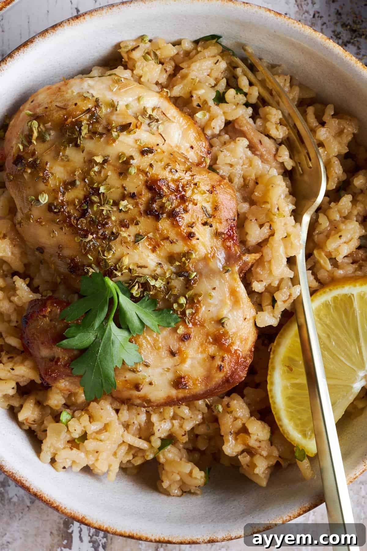 A close-up view of a serving of Greek chicken and rice, highlighting the textures and garnishes.