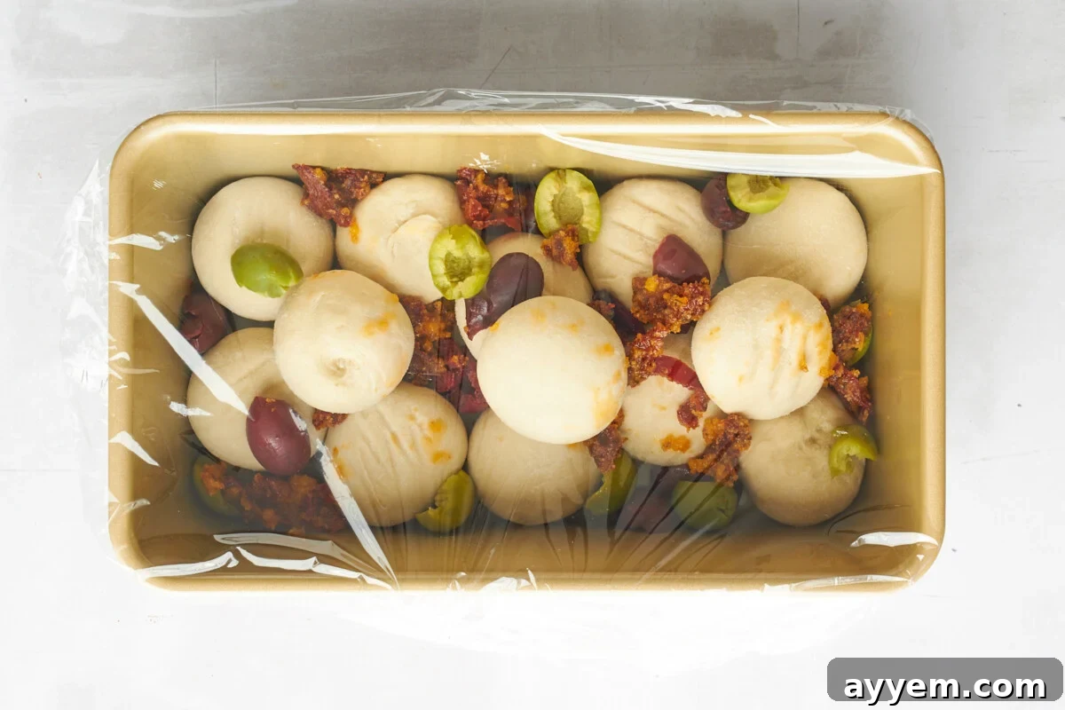 Raw dinner rolls topped with kalamata olives and sun-dried tomatoes covered with plastic wrap.