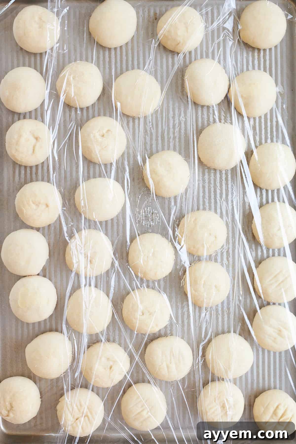 Raw dinner rolls arranged on a baking sheet, covered and rising.