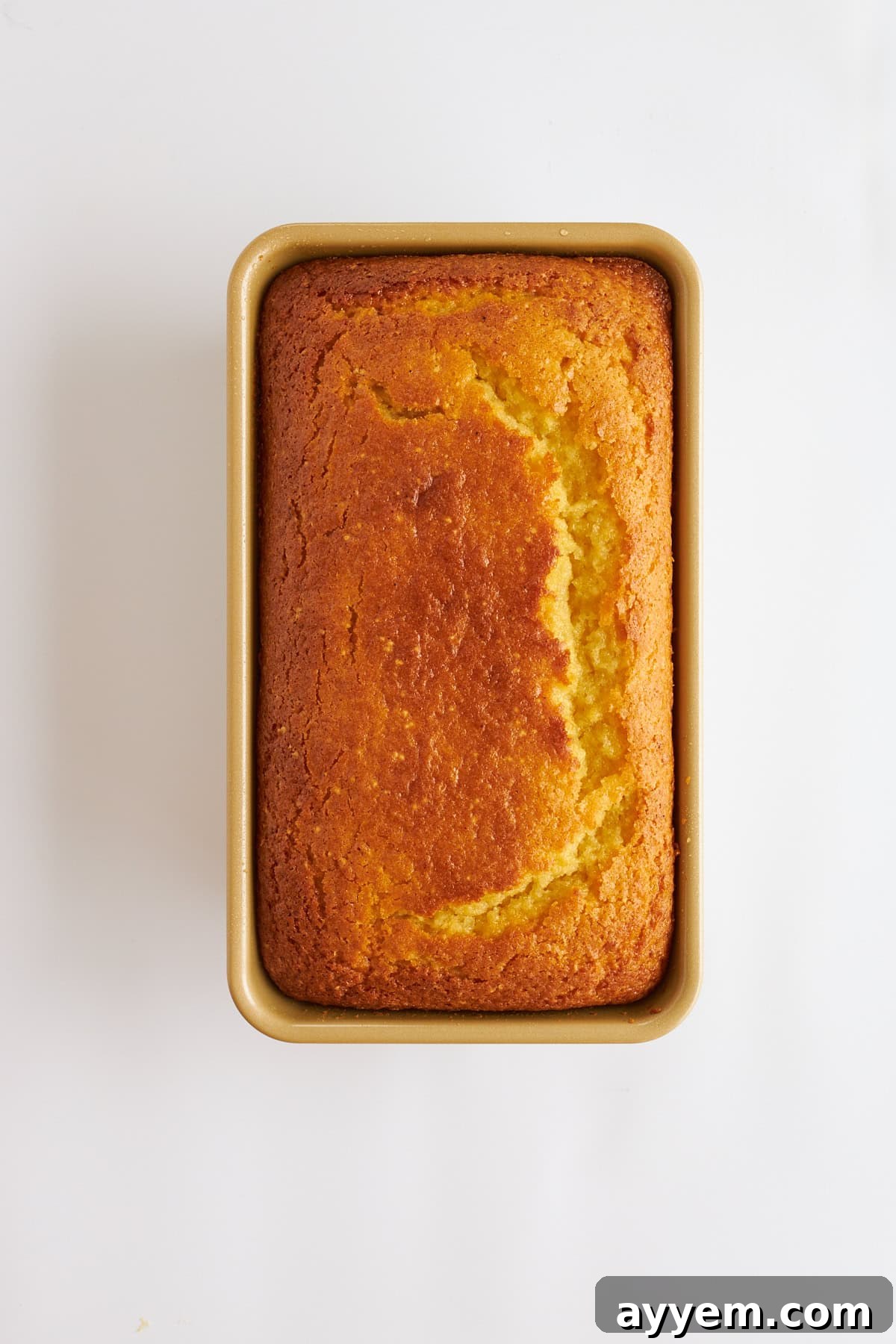 A freshly baked lemon bread loaf in a pan, golden brown and ready to cool.
