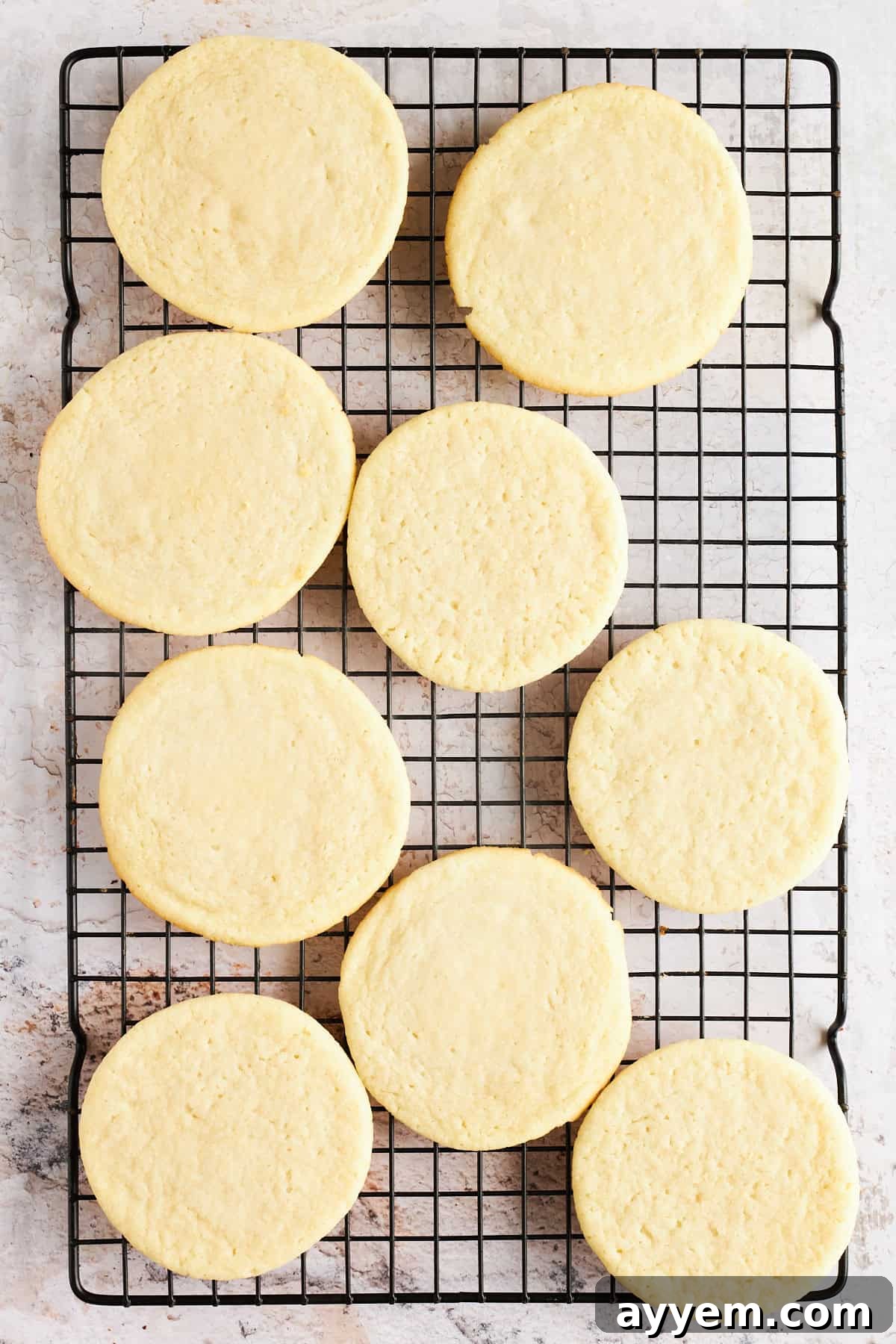 Freshly baked sugar cookies cooling on a wire rack, ready for their delicious toppings.