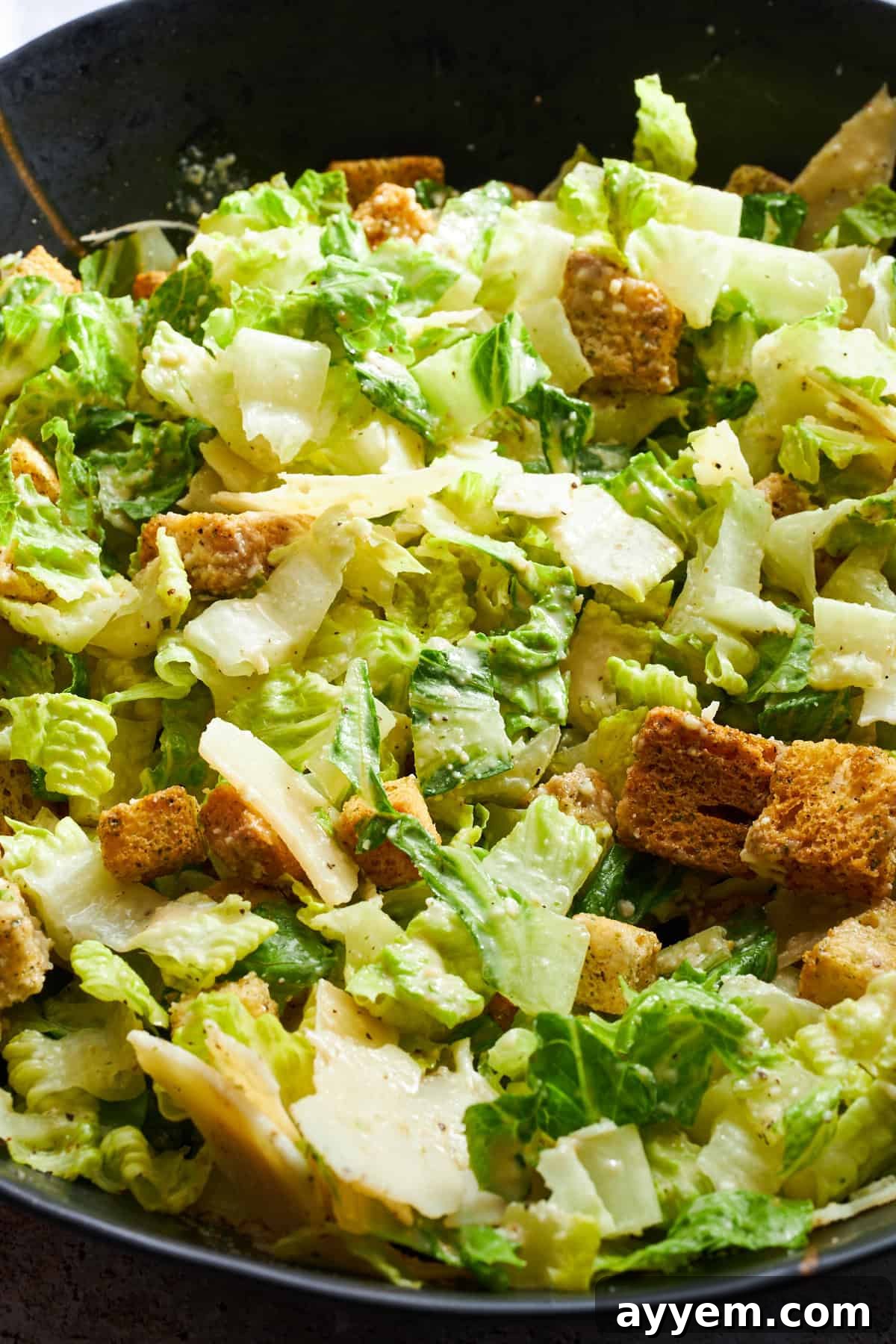 A close-up view of the Caesar salad, showing the vibrant green romaine, parmesan flakes, and homemade dressing.