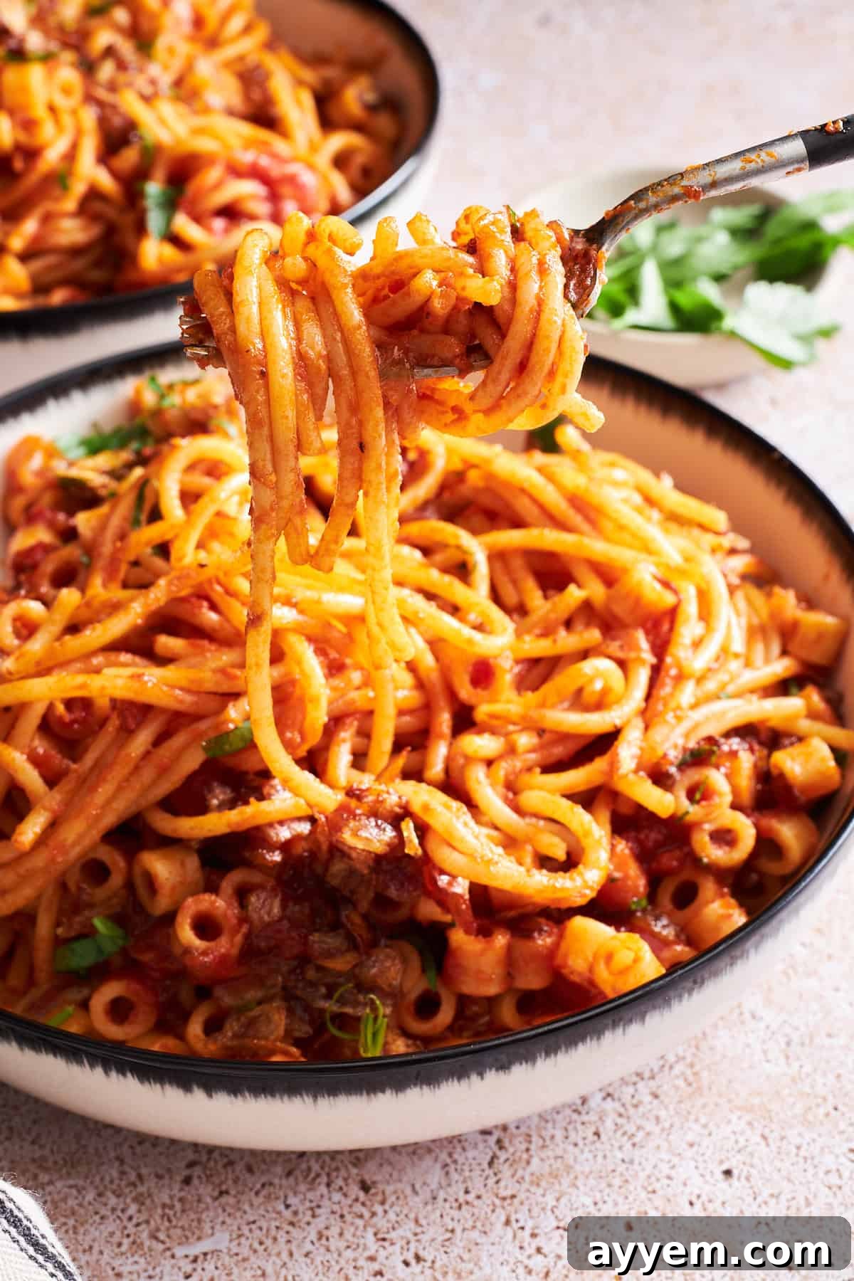 A fork lifting a delicious bite of Koshary Inspired Egyptian Pasta from a bowl, showing the mix of spaghetti, ditalini, and rich tomato sauce with fried onions.