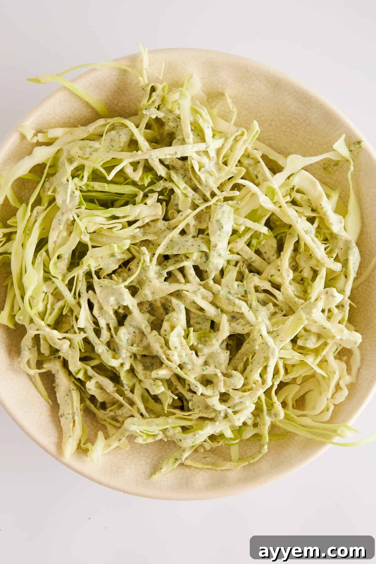 A bowl of homemade coleslaw, vibrant and well-mixed, ready to be served.