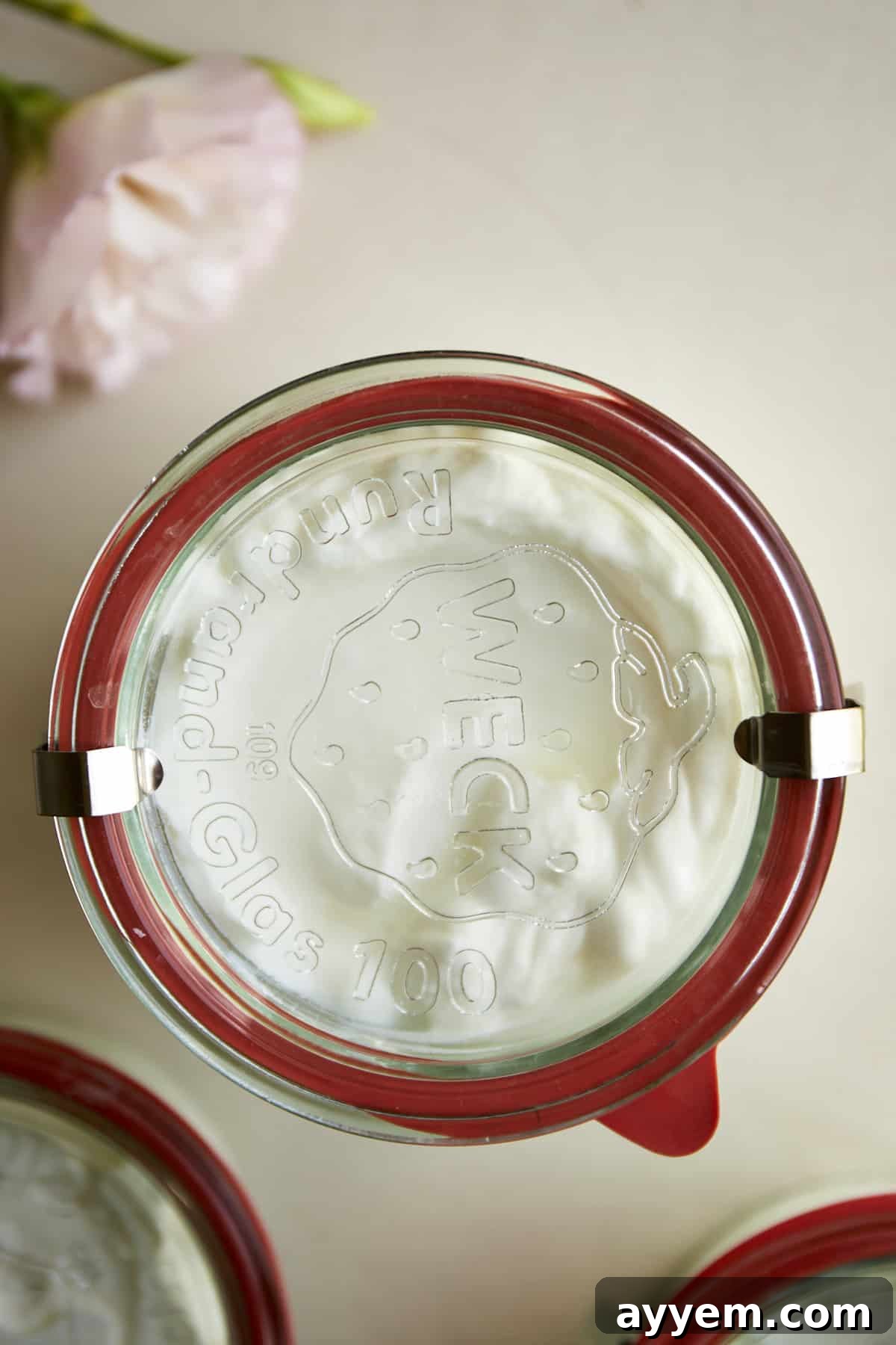 Overhead image of a Weck jar full of homemade Greek yogurt, showcasing its smooth texture.