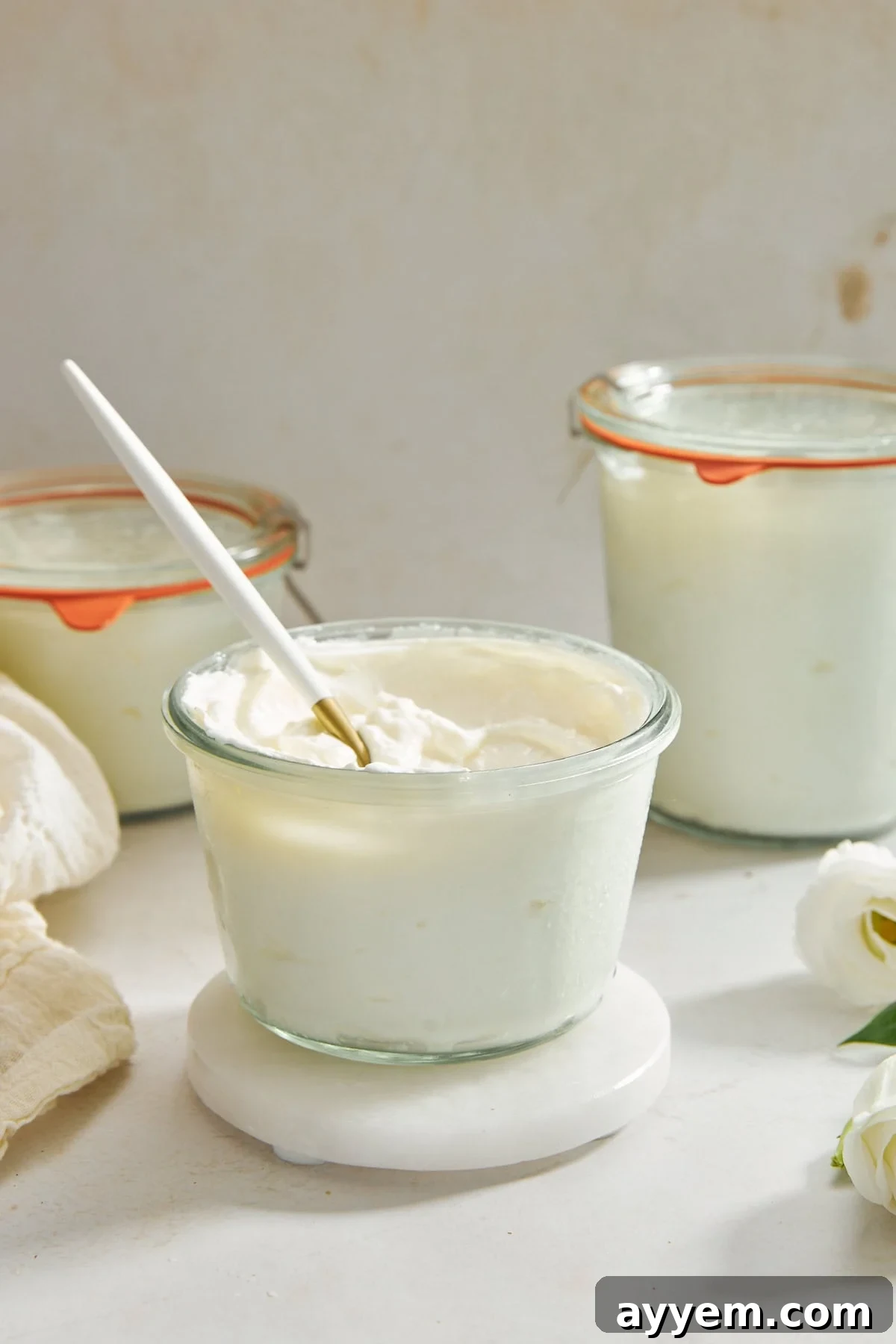 Homemade Greek Yogurt Recipe