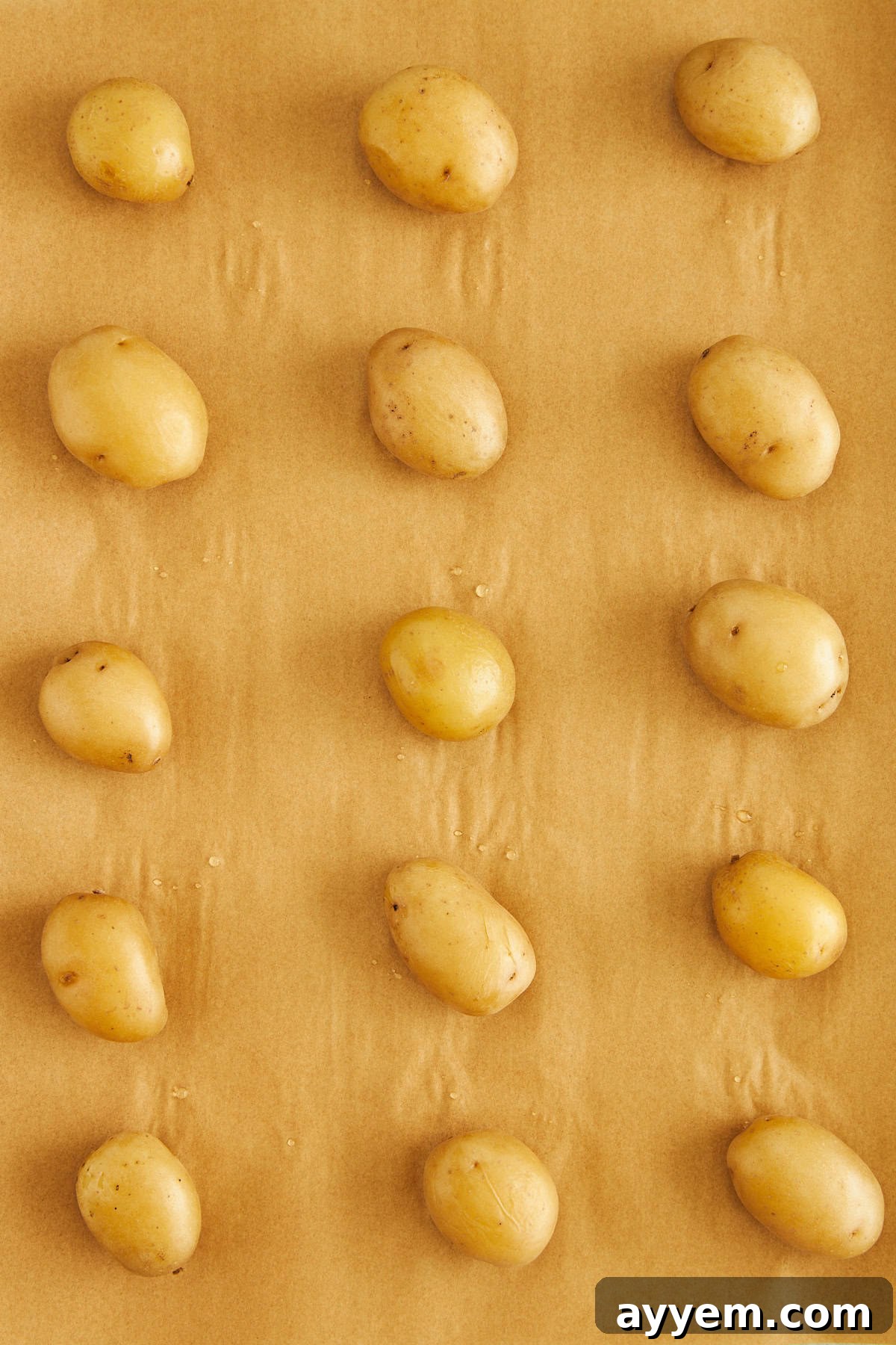 Tender boiled potatoes spread out on a parchment paper-lined baking sheet, ready for smashing.