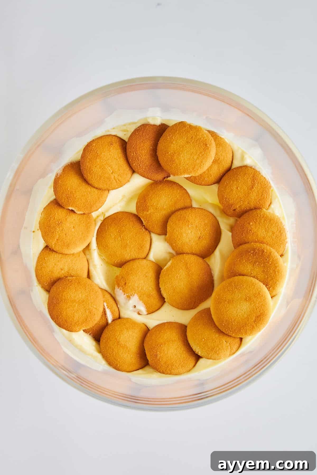 Crisp Nilla wafers artfully layered over a base of creamy vanilla pudding, awaiting more layers in a banana pudding dish.