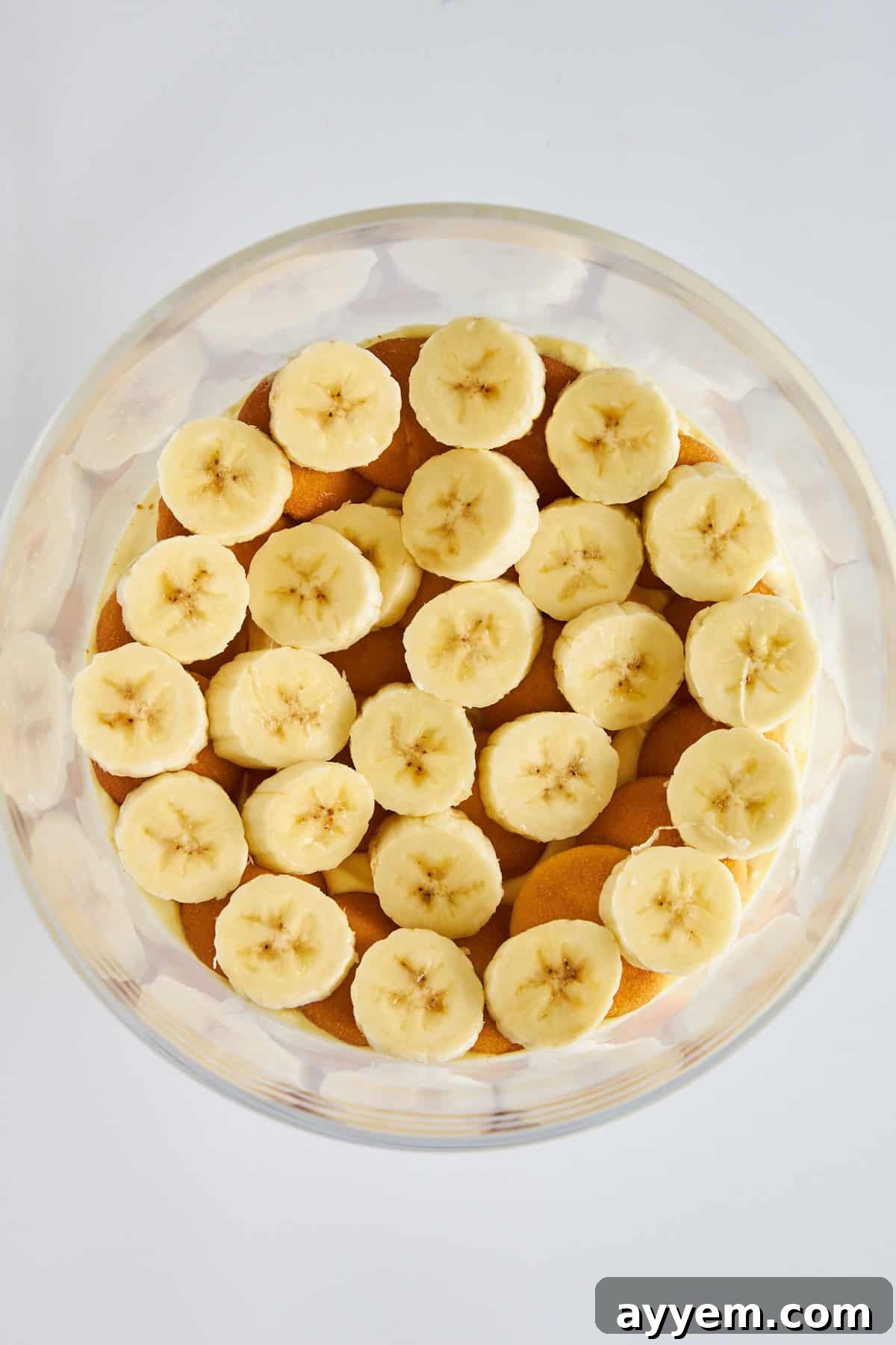 An inviting overhead image of classic banana pudding, showcasing the distinct layers of pudding, bananas, and vanilla wafers.