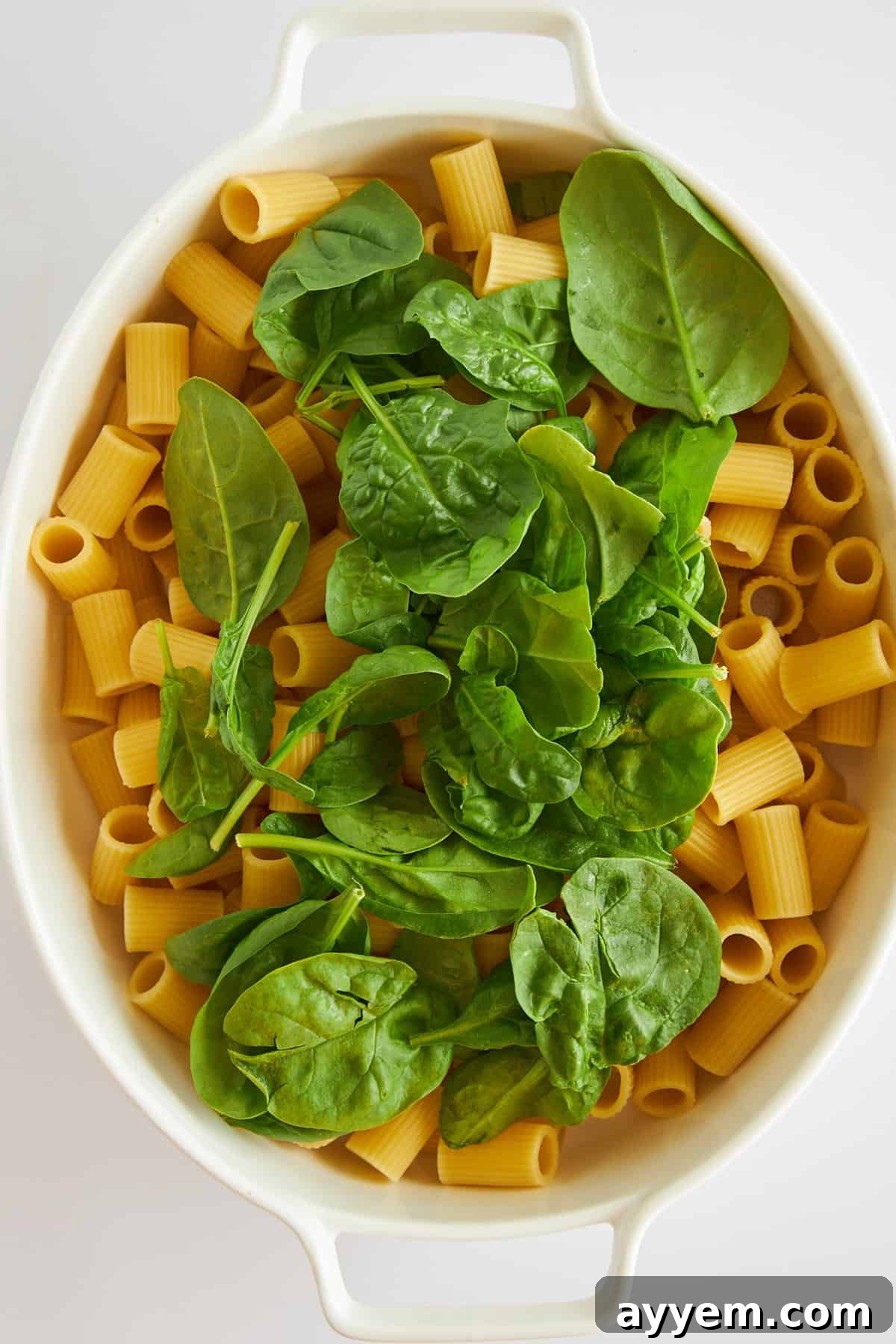Uncooked rigatoni noodles and fresh spinach being layered into a baking dish, ready for other ingredients.