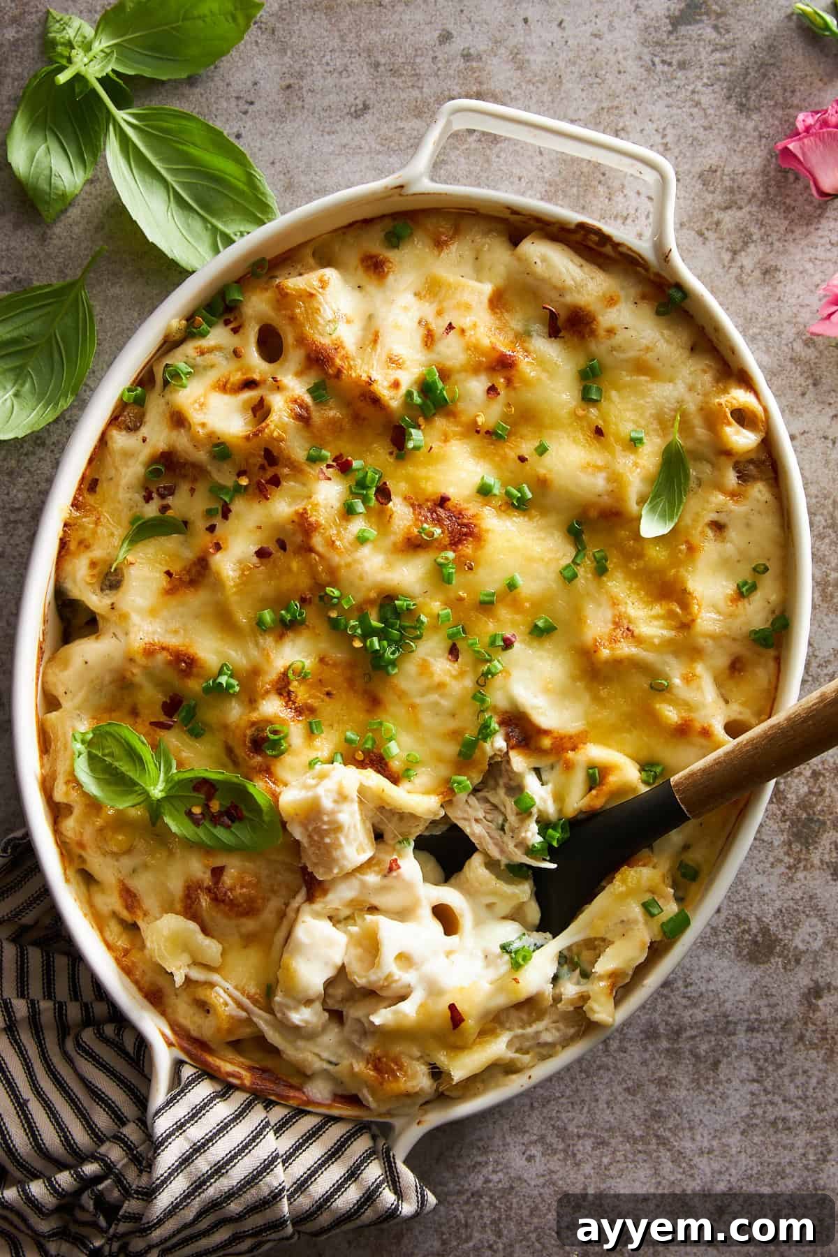 Overhead image of chicken spinach pasta bake, freshly baked and ready to serve.