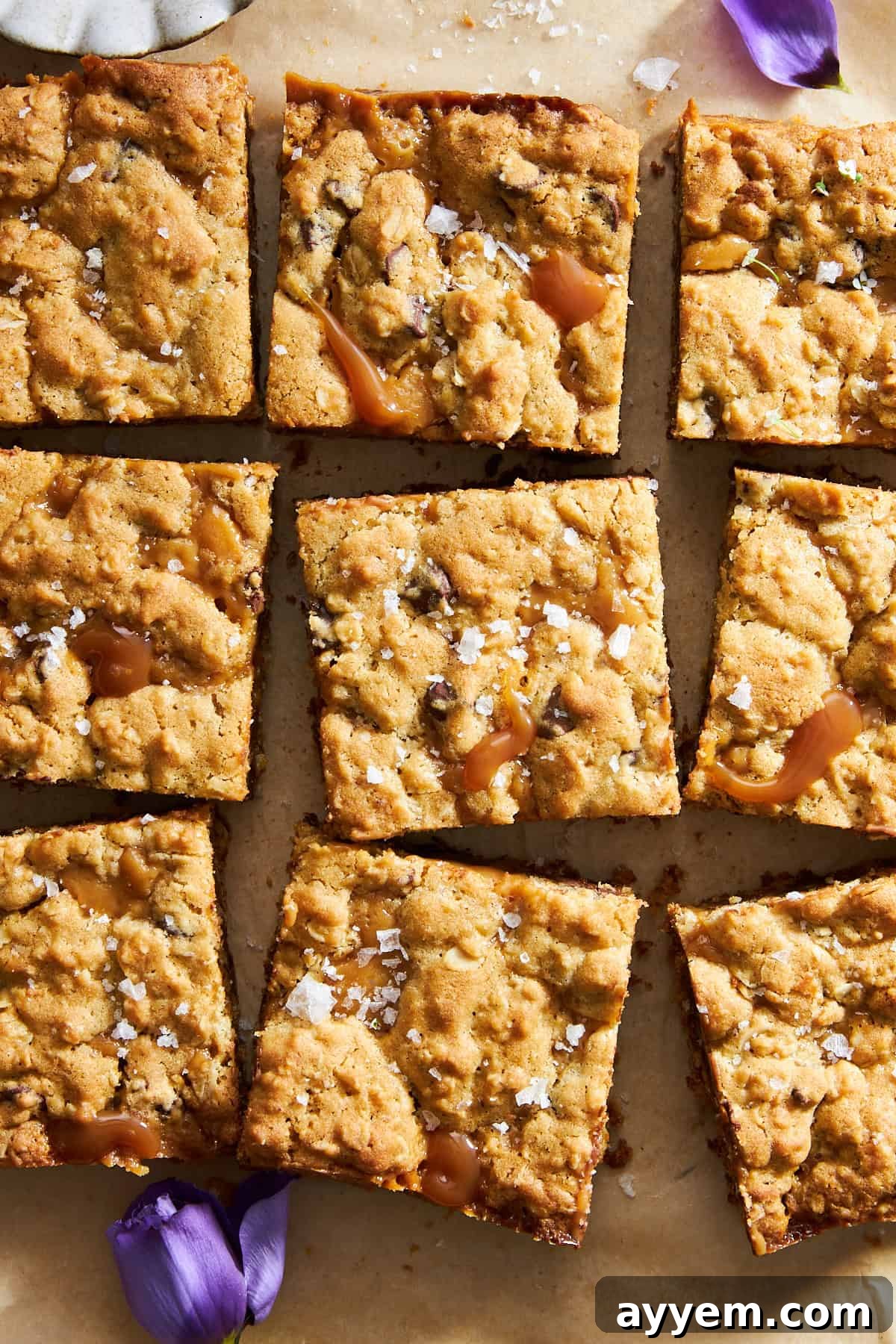 Sliced caramel chocolate chip bars.