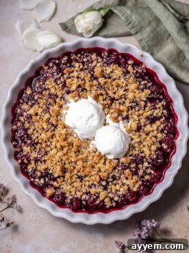 Overhead image of a cherry crisp topped with two scoops of vanilla ice cream, highlighting the vibrant red, tangy cherries and the golden, crunchy oat streusel topping.