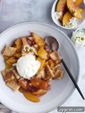 Overhead image of a bowl of peach strawberry cobbler topped with vanilla ice cream, with a small bowl of fresh peaches on the side, highlighting the fruit blend and crispy pie crust topping.