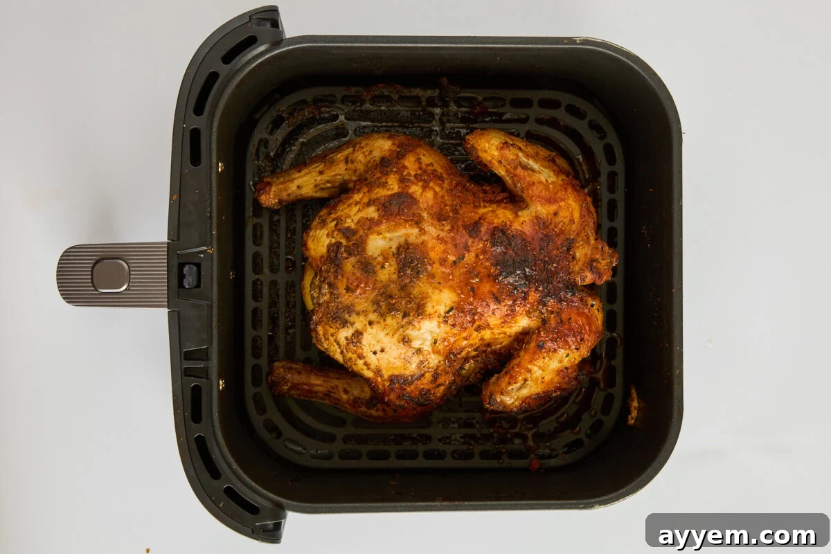 A perfectly cooked whole chicken resting in an air fryer basket after cooking.