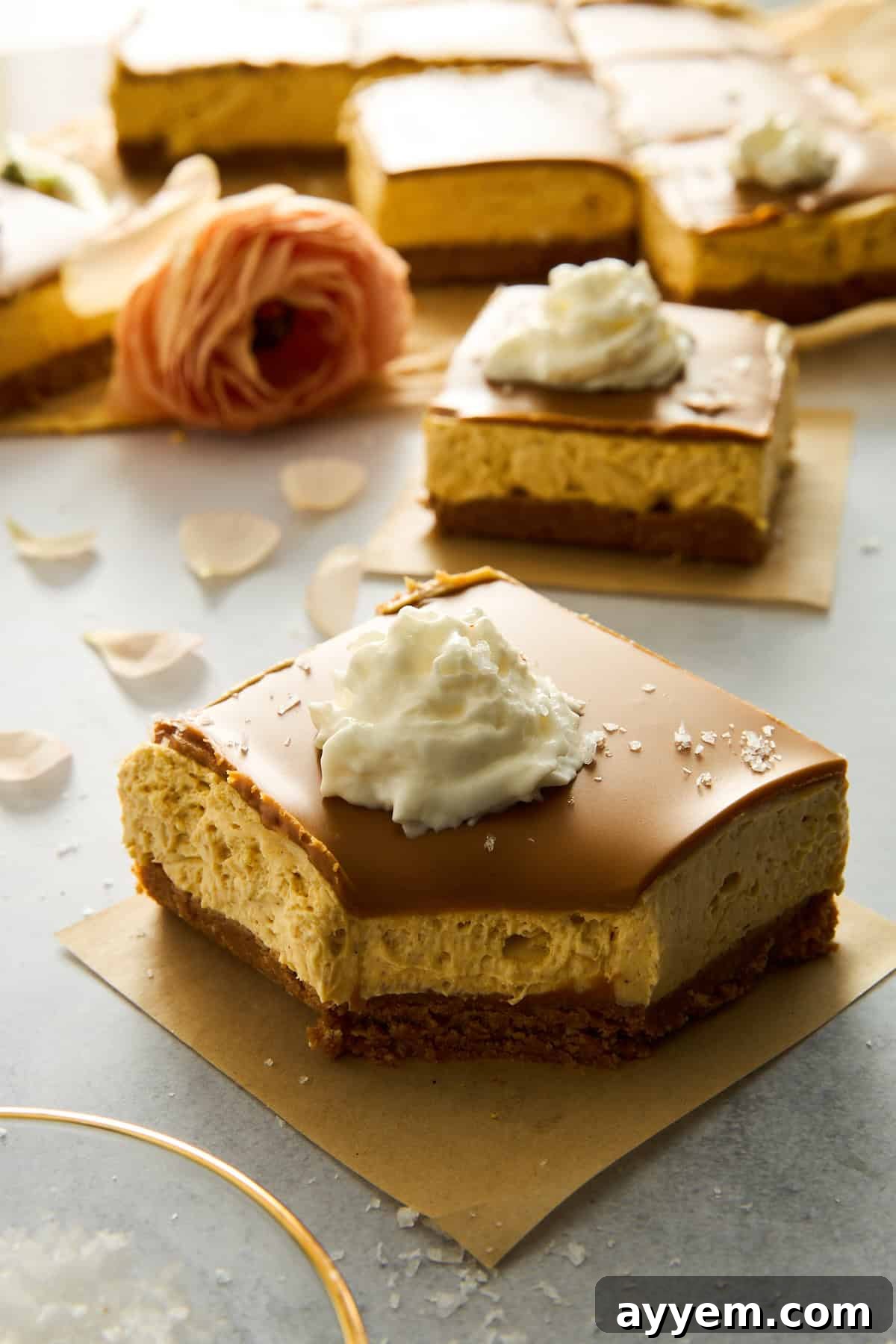 Easy Fall Pumpkin Cheesecake Squares 2 No-bake pumpkin cheesecake bars topped with whipped cream.