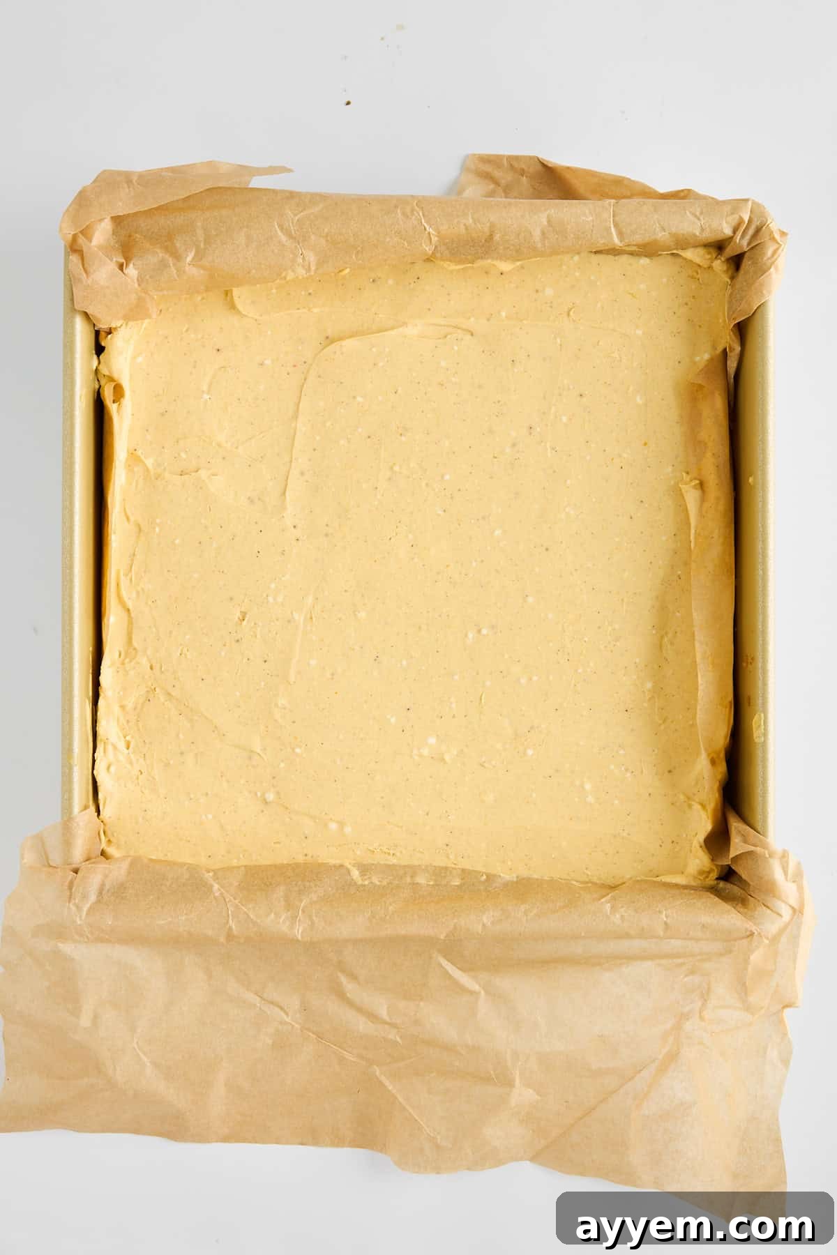 Easy Fall Pumpkin Cheesecake Squares 3 Overhead image of no-bake pumpkin cheesecake bars in a pan.