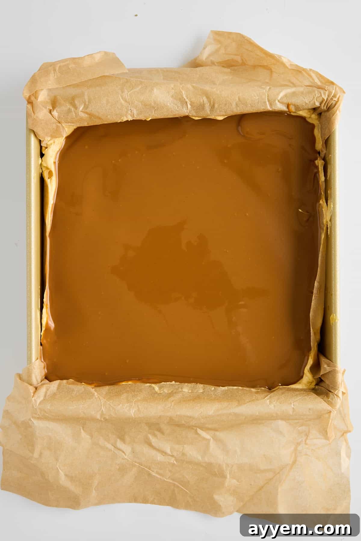 Easy Fall Pumpkin Cheesecake Squares 5 No-bake pumpkin cheesecake bars topped with Biscoff spread in a square pan.