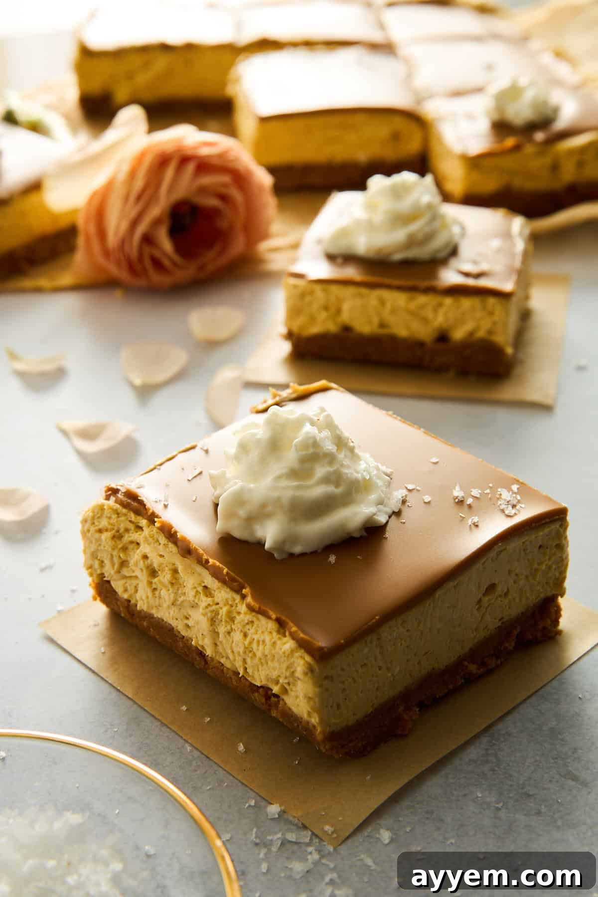 Easy Fall Pumpkin Cheesecake Squares 7 No-bake pumpkin cheesecake bars topped with whipped cream and salt.