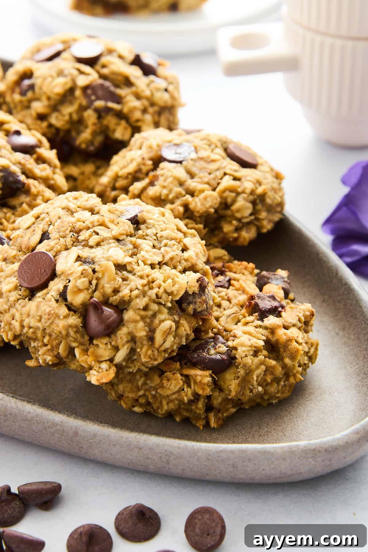 A close-up of freshly baked banana oatmeal cookies with chocolate chips and walnuts.