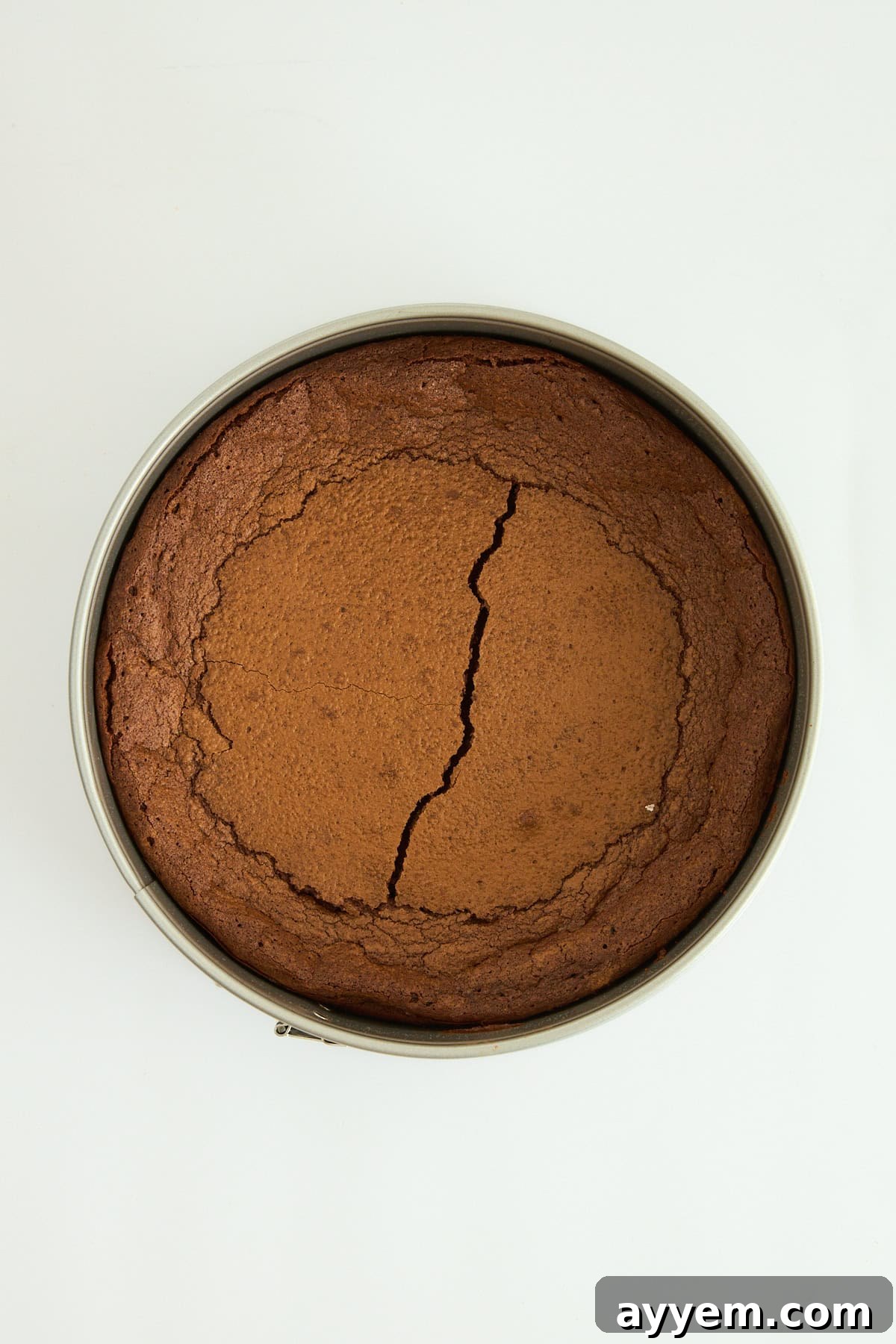 A pristine flourless chocolate cake cooling in its round cake pan, showcasing its uniform texture and potential for deliciousness.