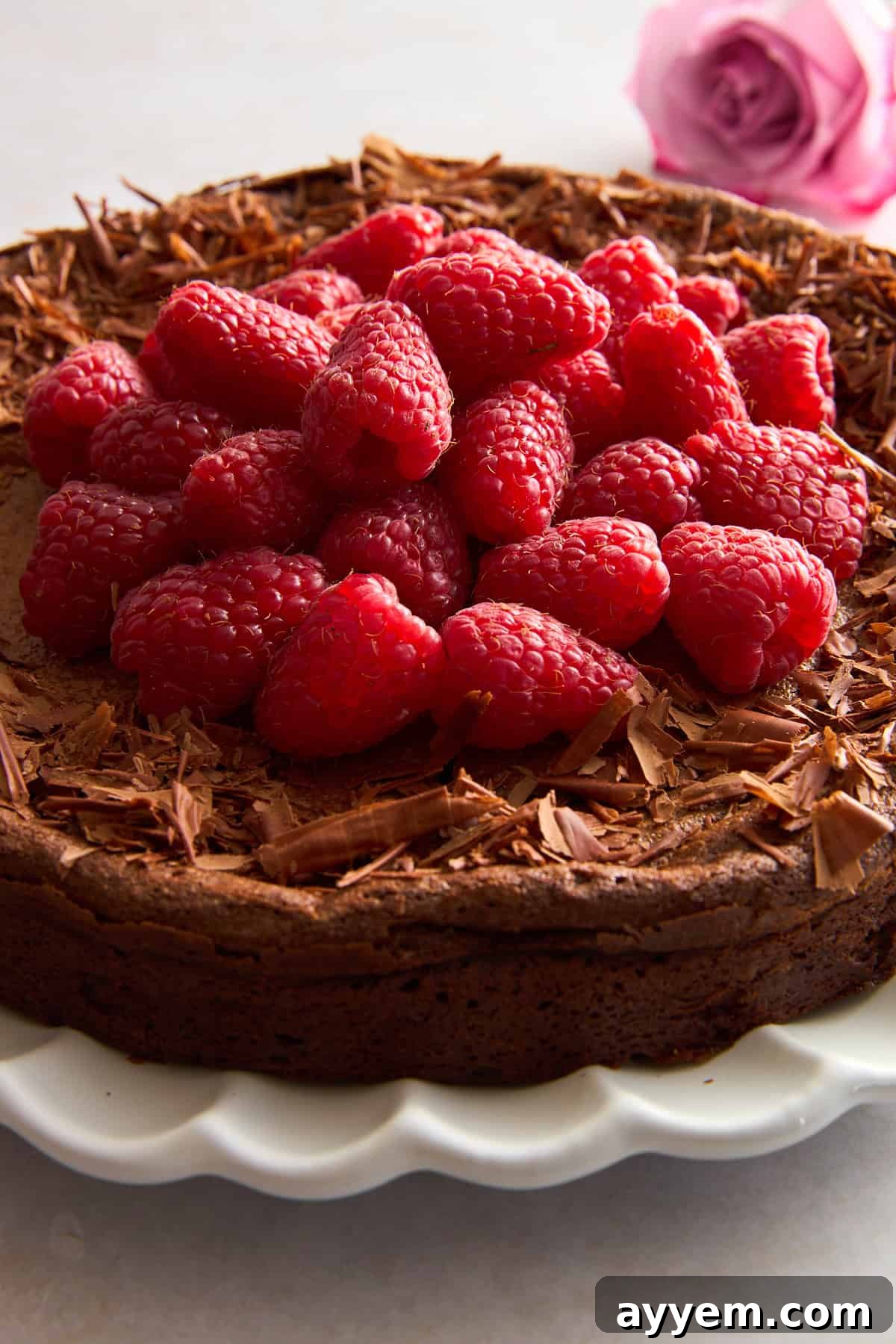 A whole flourless chocolate cake artfully topped with delicate chocolate shavings and a scattering of fresh, vibrant raspberries, ready for serving.