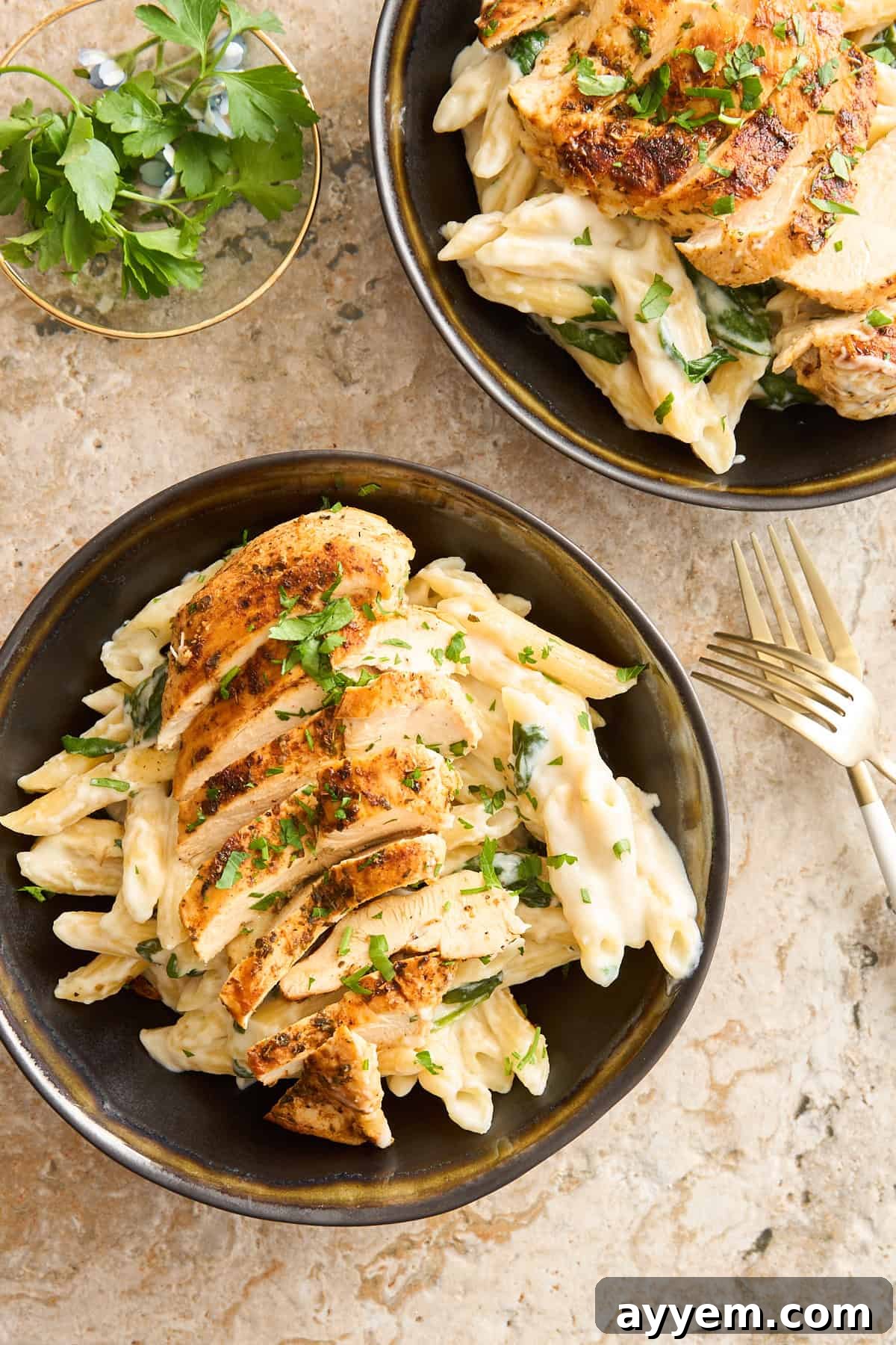 Two bowls of creamy cottage cheese pasta with grilled chicken and fresh parsley garnish.